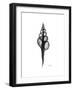 Fusinus Colus Gray-Albert Koetsier-Framed Premium Giclee Print