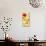 Fusion Flowers I-Sandra Jacobs-Art Print displayed on a wall