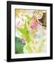 Fusion No. 2-Sheila Golden-Framed Art Print