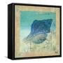 Fusion of the Sea I-Patricia Pinto-Framed Stretched Canvas