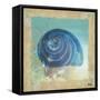 Fusion of the Sea II-Patricia Pinto-Framed Stretched Canvas