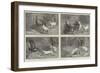 Fuss and Feathers-Sir John Gilbert-Framed Giclee Print