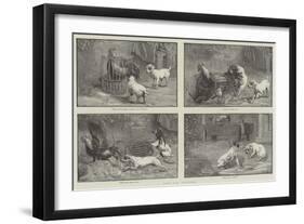 Fuss and Feathers-Sir John Gilbert-Framed Giclee Print