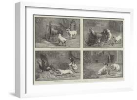 Fuss and Feathers-Sir John Gilbert-Framed Giclee Print