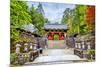 Futarasan Shrine, a UNESCO World Heritage Site in Nikko, Japan-Leonid Andronov-Mounted Photographic Print