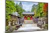 Futarasan Shrine, a UNESCO World Heritage Site in Nikko, Japan-Leonid Andronov-Mounted Photographic Print