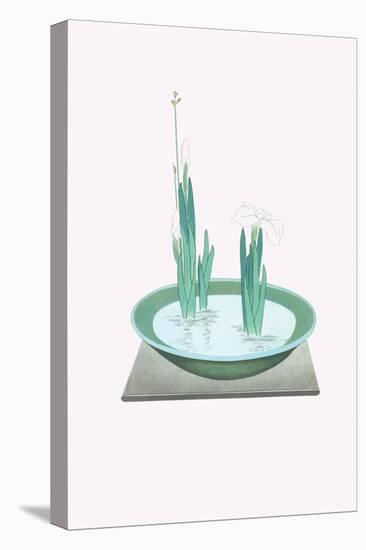 Futoi & Hanashobu (Scirpus & Iris) In a Tenryuji-Celadon Basin-Josiah Conder-Stretched Canvas