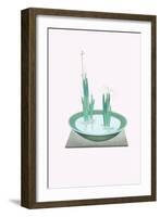 Futoi & Hanashobu (Scirpus & Iris) In a Tenryuji-Celadon Basin-Josiah Conder-Framed Art Print