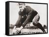 Future President Gerald Ford at Football Practice at University of Michigan, Ca. 1933-null-Framed Stretched Canvas