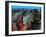 Futuristic City-Roger Harris-Framed Photographic Print