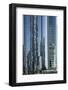 Futuristic Skyscrapers Downtown in Doha, Qatar, Middle East-Angelo Cavalli-Framed Photographic Print