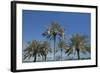 Futuristic Skyscrapers on the Distant Doha Skyline, Qatar, Middle East-Angelo Cavalli-Framed Photographic Print