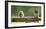 Fuzzball-Mark Bridger-Framed Art Print