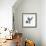 Fuzzy Bird II-Madeleine Millington-Framed Giclee Print displayed on a wall
