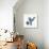 Fuzzy Bird II-Madeleine Millington-Giclee Print displayed on a wall