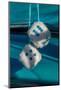 Fuzzy dice in classic car-Jim Engelbrecht-Mounted Photographic Print