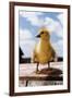 Fuzzy Duckling-William P. Gottlieb-Framed Photographic Print