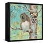 Fuzzy Little Eyes-Delsie Walters-Framed Stretched Canvas