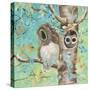 Fuzzy Little Eyes-Delsie Walters-Stretched Canvas