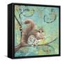 Fuzzy Squirrel-Delsie Walters-Framed Stretched Canvas