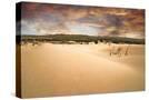 Stretched Canvas