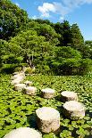 Stone Zen Path-Fyletto-Framed Photographic Print