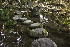 Stone Zen Path-Fyletto-Framed Photographic Print