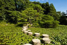 Stone Zen Path-Fyletto-Framed Photographic Print