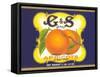 G and S Apricot Halves-null-Framed Stretched Canvas
