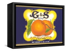 G and S Apricot Halves-null-Framed Stretched Canvas