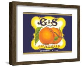 G and S Apricot Halves-null-Framed Art Print