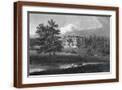 Brown Frame