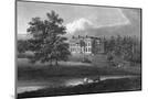 Wood Mount