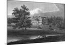 Wood Mount