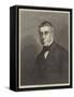 G B Airy, Lld, Frs, Astronomer Royal-null-Framed Stretched Canvas