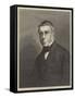 G B Airy, Lld, Frs, Astronomer Royal-null-Framed Stretched Canvas