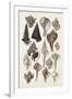 Gramercy White