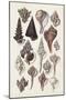 Wood Mount
