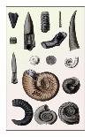 Shells: Gasteropoda and Trachelipoda-G.b. Sowerby-Art Print