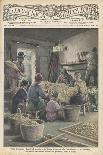 Sorting Silk Cocoons for Size and Quality in Italy-G. Bartoletti-Art Print