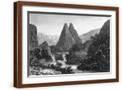 Brown Frame