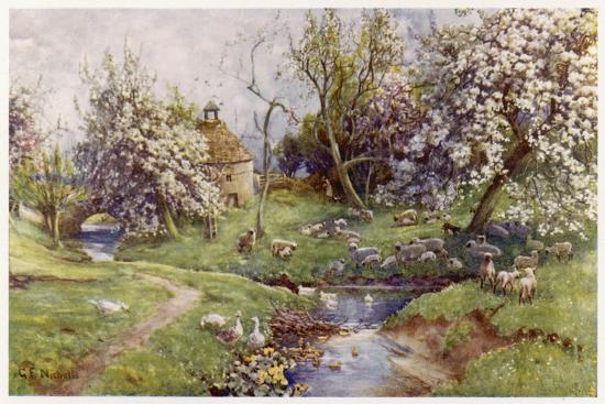 Premium Giclee Print, , large