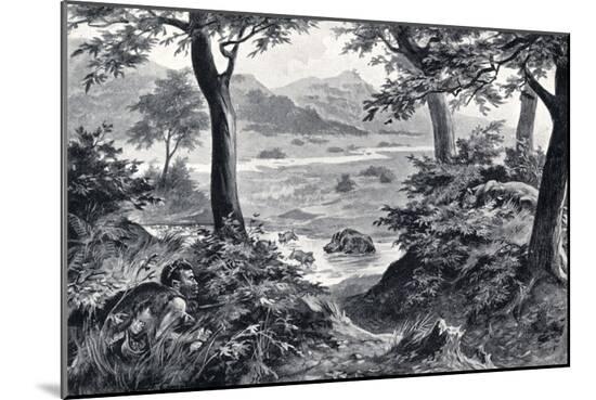 Art Print, , large