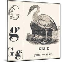 G for Crane, 1850 (Engraving)-Louis Simon (1810-1870) Lassalle-Mounted Giclee Print