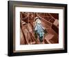 G-Force Training-Science Source-Framed Giclee Print