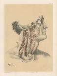 The Head and Neck. Internal Carotid and Ascending Pharyngeal Arteries, and Cranial Nerves in the…-G. H. Ford-Giclee Print