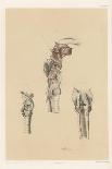 The Lower Limb. Deep Muscles of the Calf, and the Popliteal Vessels and Nerves-G. H. Ford-Giclee Print