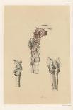 The Lower Limb. Front of the Leg and Dorsum of the Foot-G. H. Ford-Giclee Print