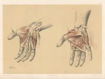 The Lower Limb. First and Second Stages in the Examination of the Sole of the Foot-G. H. Ford-Giclee Print