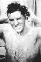 Laminate